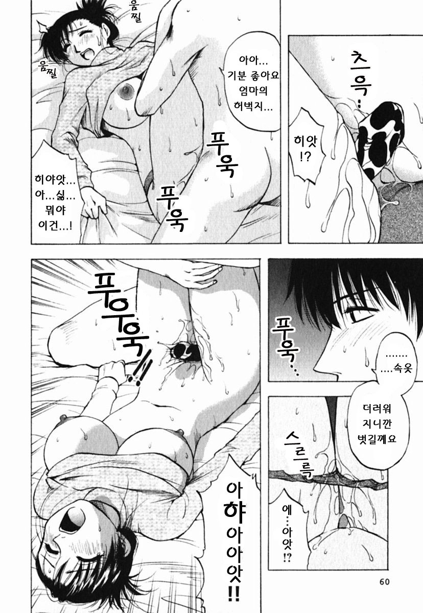 [Maeda Sengoku] Mrs. Link [Korean] [DoRaGoRa] page 65 full