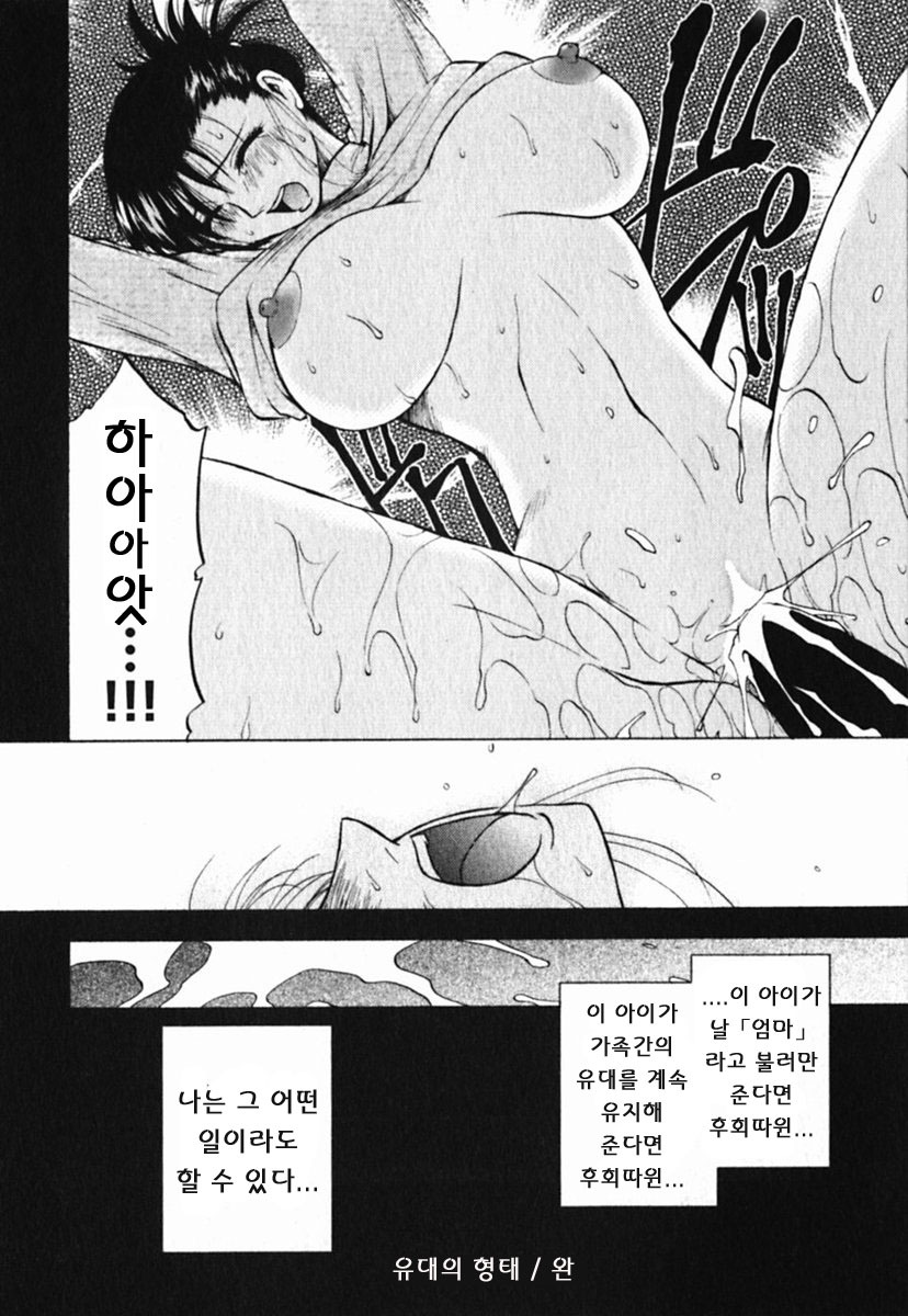 [Maeda Sengoku] Mrs. Link [Korean] [DoRaGoRa] page 71 full