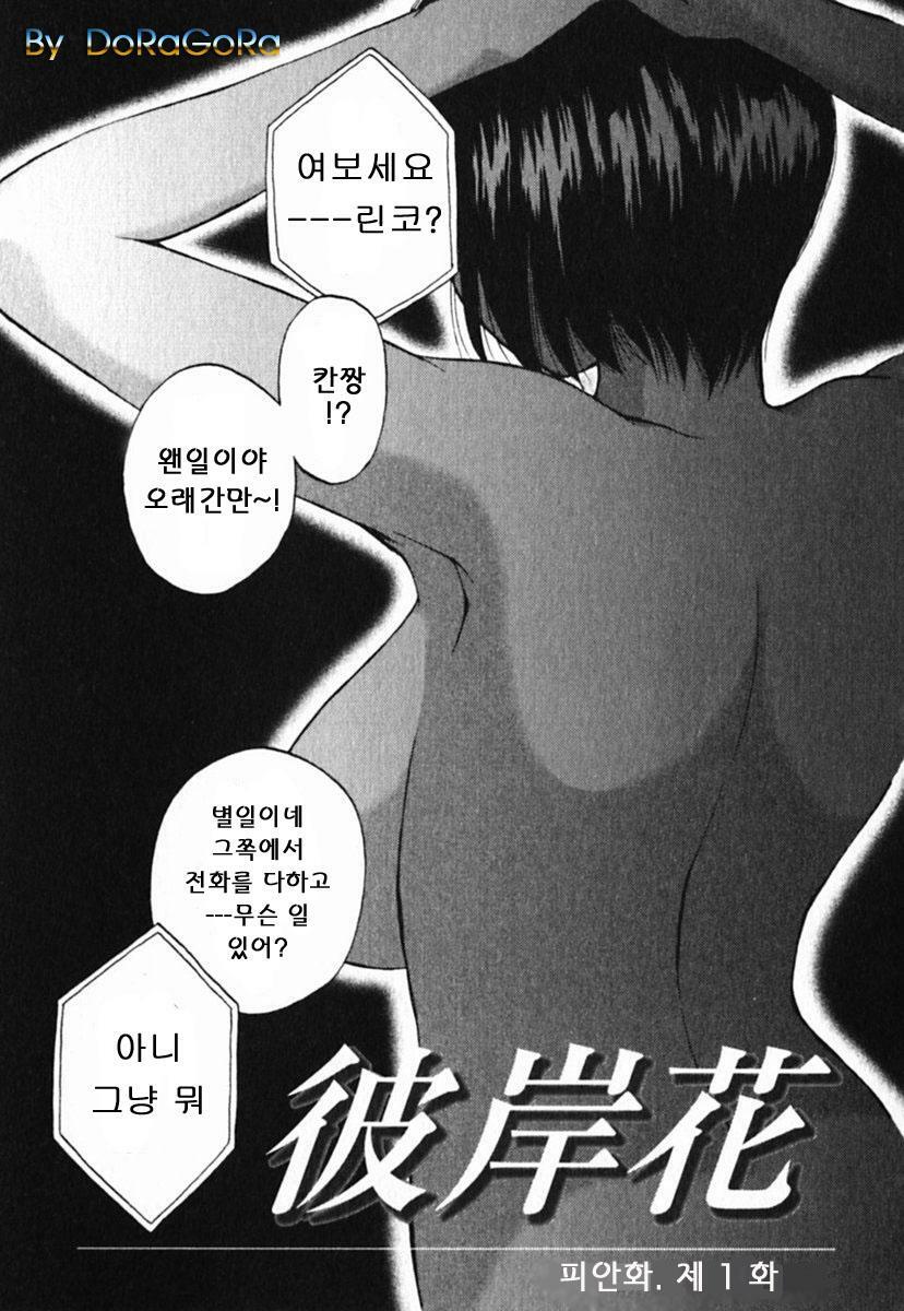 [Maeda Sengoku] Mrs. Link [Korean] [DoRaGoRa] page 98 full