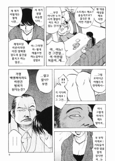 [Maeda Sengoku] Mrs. Link [Korean] [DoRaGoRa] - page 10