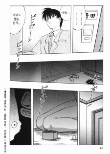 [Maeda Sengoku] Mrs. Link [Korean] [DoRaGoRa] - page 31