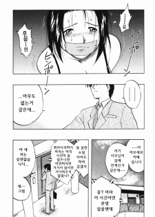 [Maeda Sengoku] Mrs. Link [Korean] [DoRaGoRa] - page 33