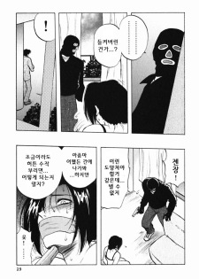 [Maeda Sengoku] Mrs. Link [Korean] [DoRaGoRa] - page 34