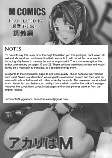 (C62) [M (Amano Ameno)] Akari wa M ~Choukyouhen~ | Akari is a Masochist (Hikaru no Go) [English] [Tsuine] - page 2