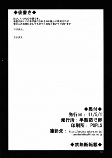 (COMIC1☆5) [Hanjuku Yude Tamago (Canadazin)] Cecilia-san ga Wana ni Hamatte Shokushu o Haran jau Hon (IS ) - page 18