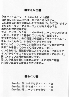 (C68) [Archetype (Akaza)] WO-AI NI-SO We love Over knee socks!! (Mobile Suit Gundam SEED DESTINY, ToHeart 2) [Chinese] 【黑条汉化】 - page 3