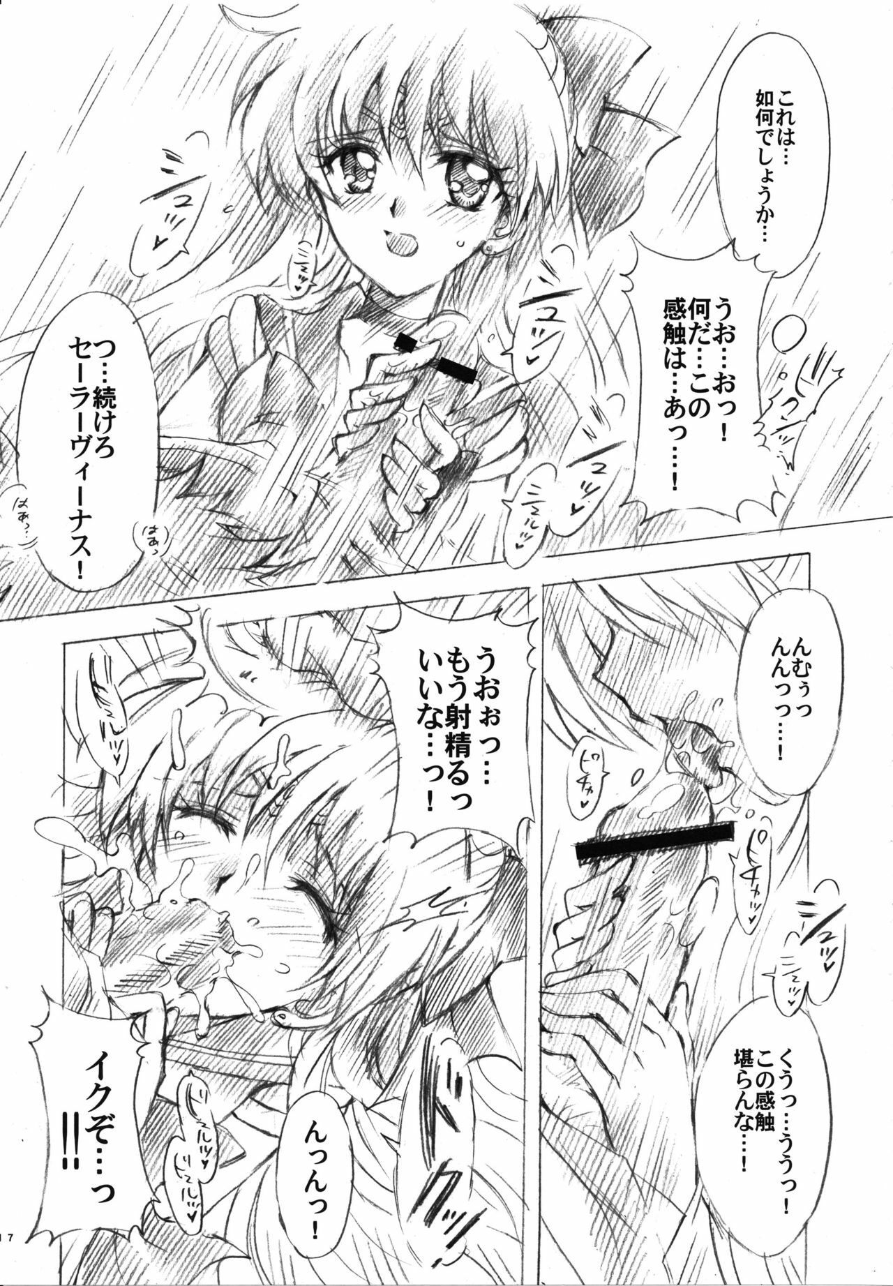 (C73) [Kotori Jimusho (Sakura Bunchou)] Gisei to Inori wo... (Sailor Moon) page 17 full
