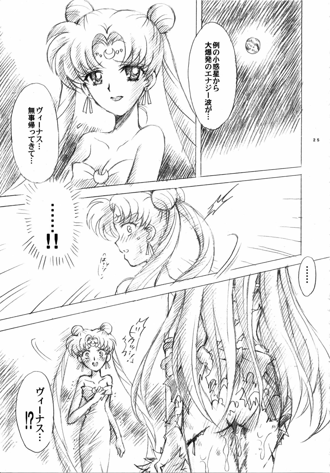(C73) [Kotori Jimusho (Sakura Bunchou)] Gisei to Inori wo... (Sailor Moon) page 25 full