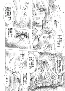 (C73) [Kotori Jimusho (Sakura Bunchou)] Gisei to Inori wo... (Sailor Moon) - page 16