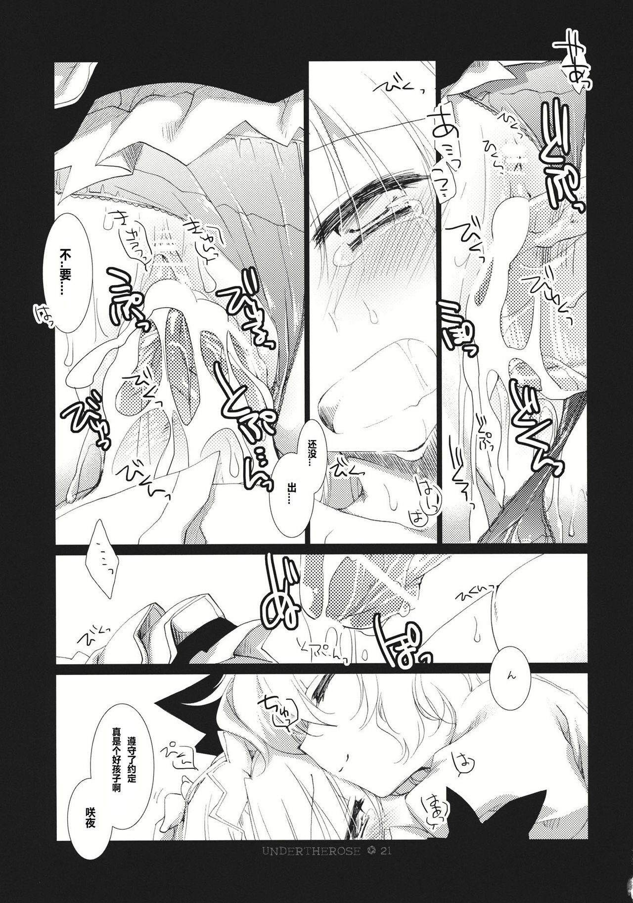 (C81) [FRAC (Motomiya Mitsuki)] UNDER THE ROSE (Touhou Project) [Chinese] [公主の假日汉化组] page 23 full