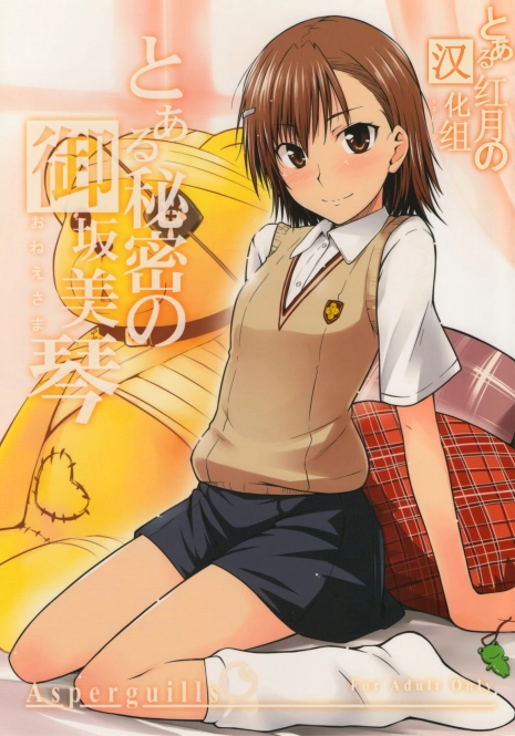 (C77) [Aspergillus (Okara)] Toaru Himitsu no Onee-sama (Toaru Kagaku no Railgun) [Chinese] [红月汉化组]