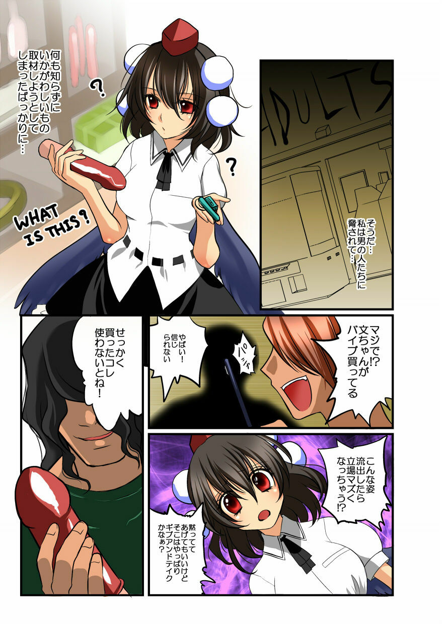 [Hanamo Oukoku (Hanamo Daiou)] Touhou Manga Pack (Touhou Project) [Digital] page 10 full