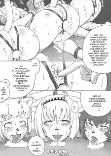 (C73) [Kezukuroi Kissa (Gochou)] Nande Mithra no 2 (Final Fantasy XI) [Spanish] [meiwow] - page 19