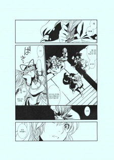 (C81) [TEX-MEX (Red Bear)] Touhou Enrashou Yukari (Touhou Project) [Korean] - page 20