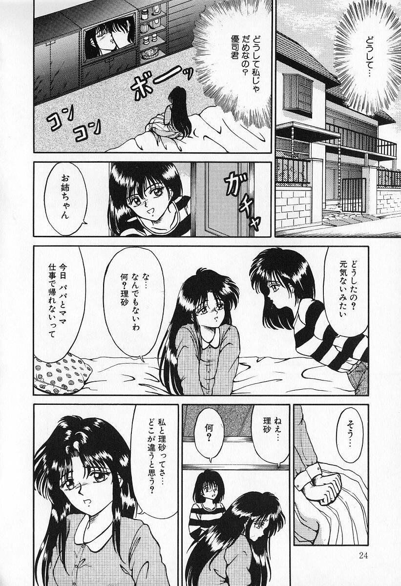 [Kesshousui] Otome no Negai page 25 full