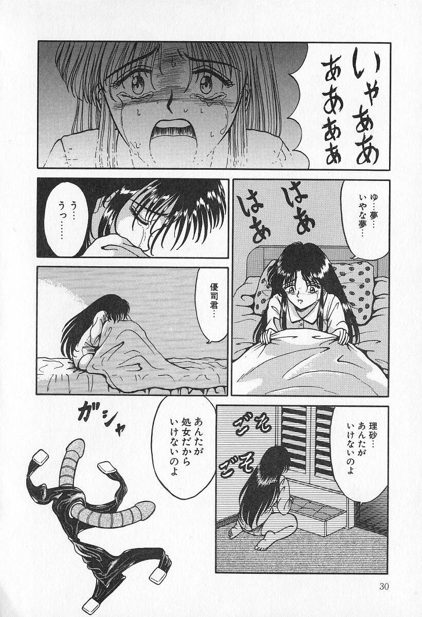 [Kesshousui] Otome no Negai page 31 full