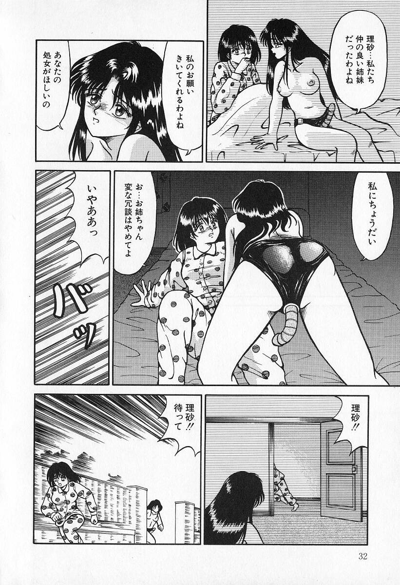 [Kesshousui] Otome no Negai page 33 full