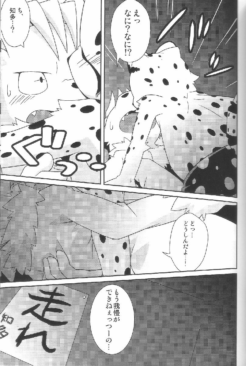 (Fur-st 2) [PELL-MELL WORKS (Kougami)] Aggressive (Oumagadoki Zoo) page 14 full