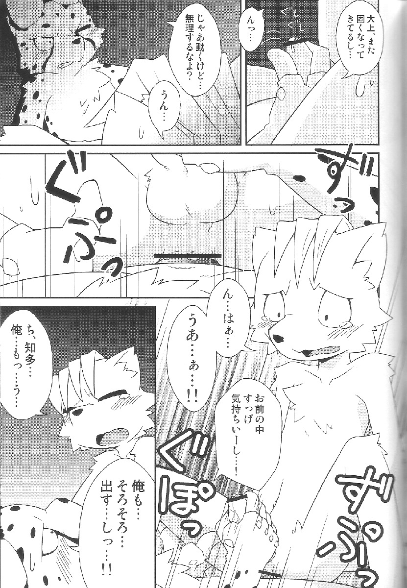 (Fur-st 2) [PELL-MELL WORKS (Kougami)] Aggressive (Oumagadoki Zoo) page 20 full