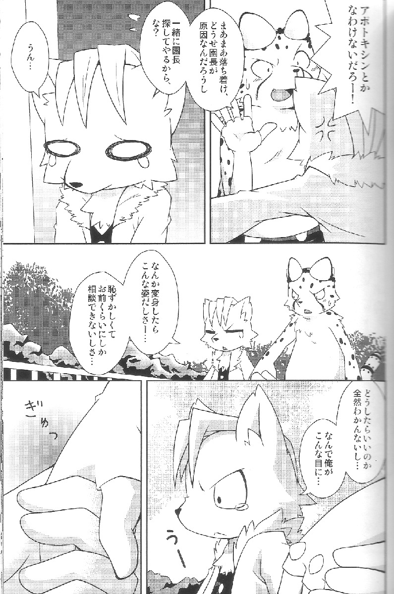 (Fur-st 2) [PELL-MELL WORKS (Kougami)] Aggressive (Oumagadoki Zoo) page 6 full