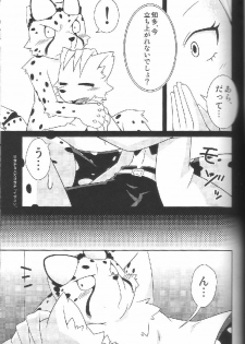 (Fur-st 2) [PELL-MELL WORKS (Kougami)] Aggressive (Oumagadoki Zoo) - page 12