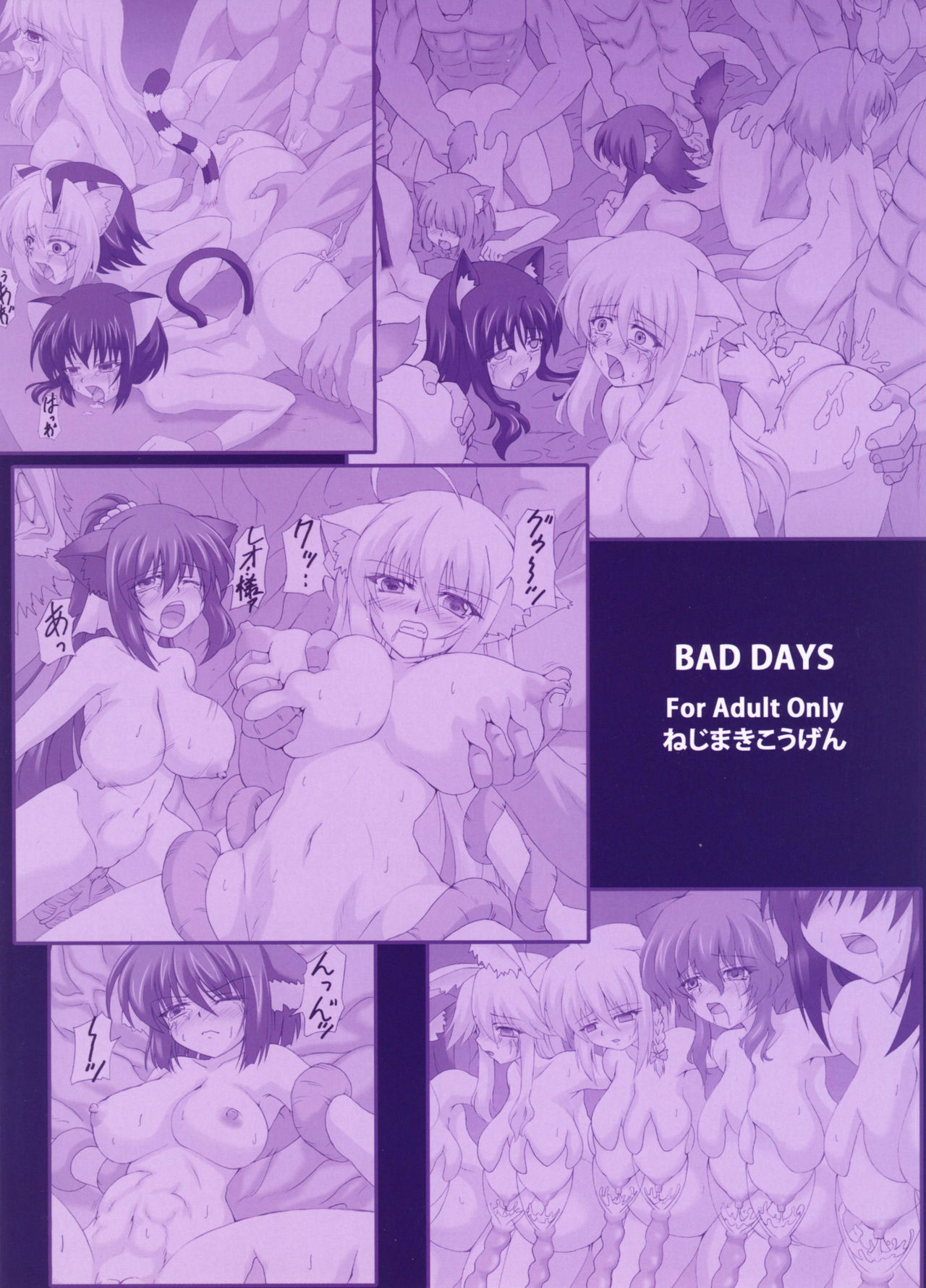 (C80) [Nejimaki Kougen (Kirisawa Tokito)] BAD DAYS (Dog Days) page 26 full