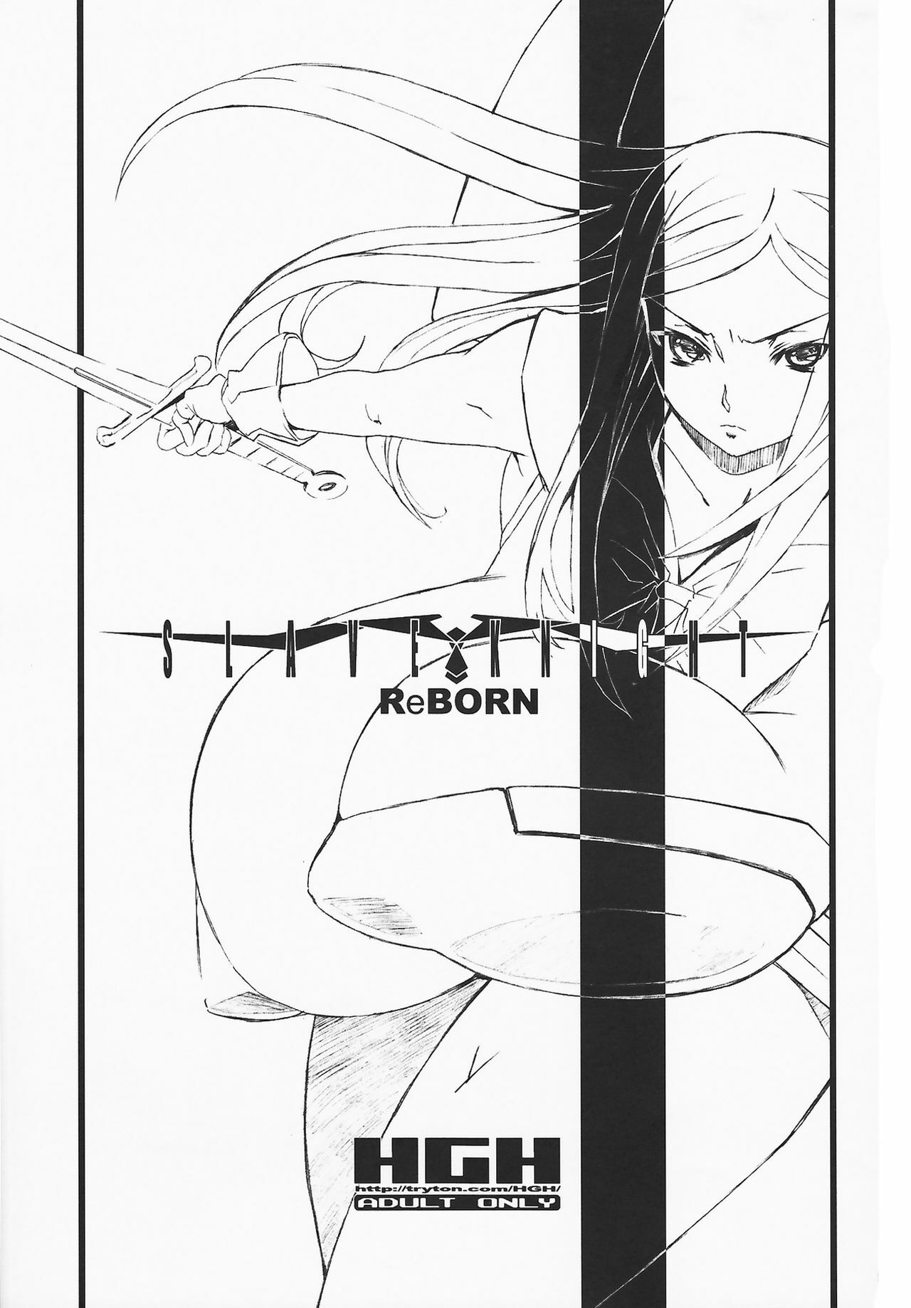 (COMIC1☆2) [HGH (HG Chagawa)] Slave Knight: Reborn page 3 full