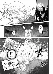 (COMITIA96) [Kuroneko Waltz (Ariichi Kyuu)] Tsukaima wa Bokki-chuu!? - page 22