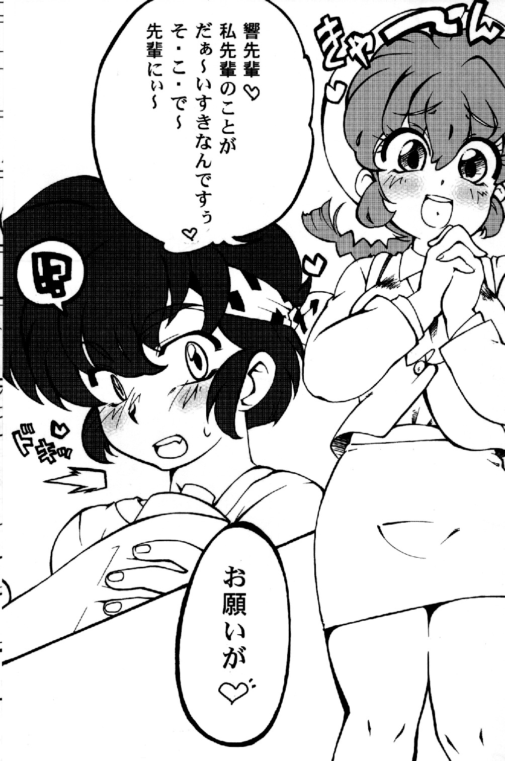 (C78) [Marin (Suzusato Rinka, mage)] Chippoke na Present (Ranma 1/2) page 2 full