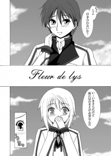 [Wataru] Fleur de lys (Infinite Stratos) - page 2