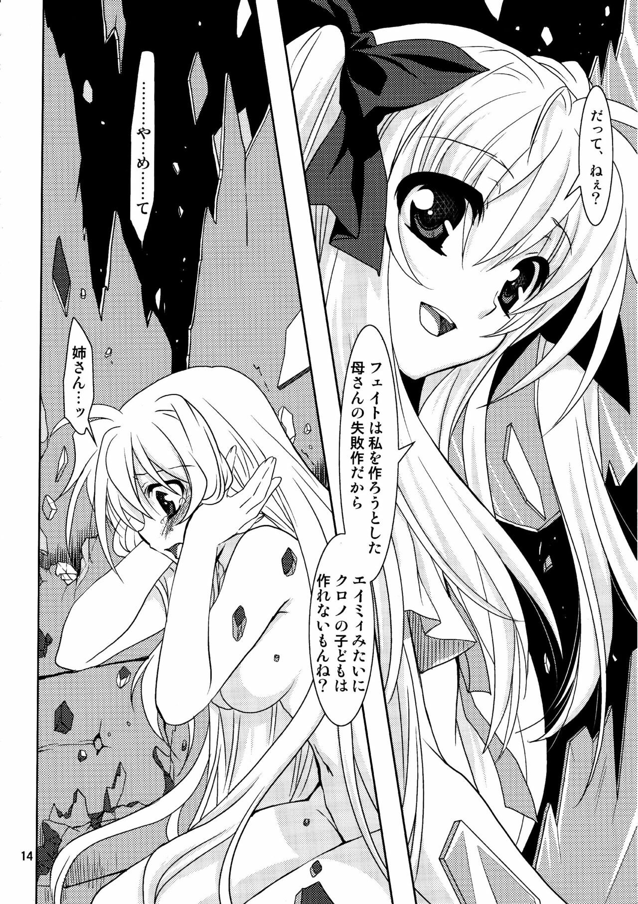 (C81) [PLUM (Kanna)] Magical SEED Ideology (Mahou Shoujo Lyrical Nanoha) page 14 full