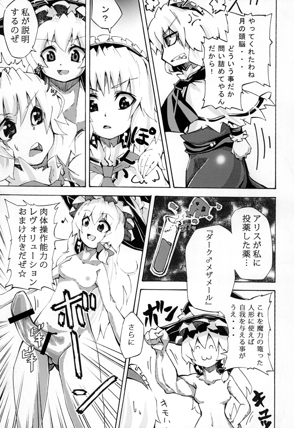 [Pompom Honganji (Neni Hitsuji, Ara)] Gorogoro Alice-san (Touhou Project) page 4 full