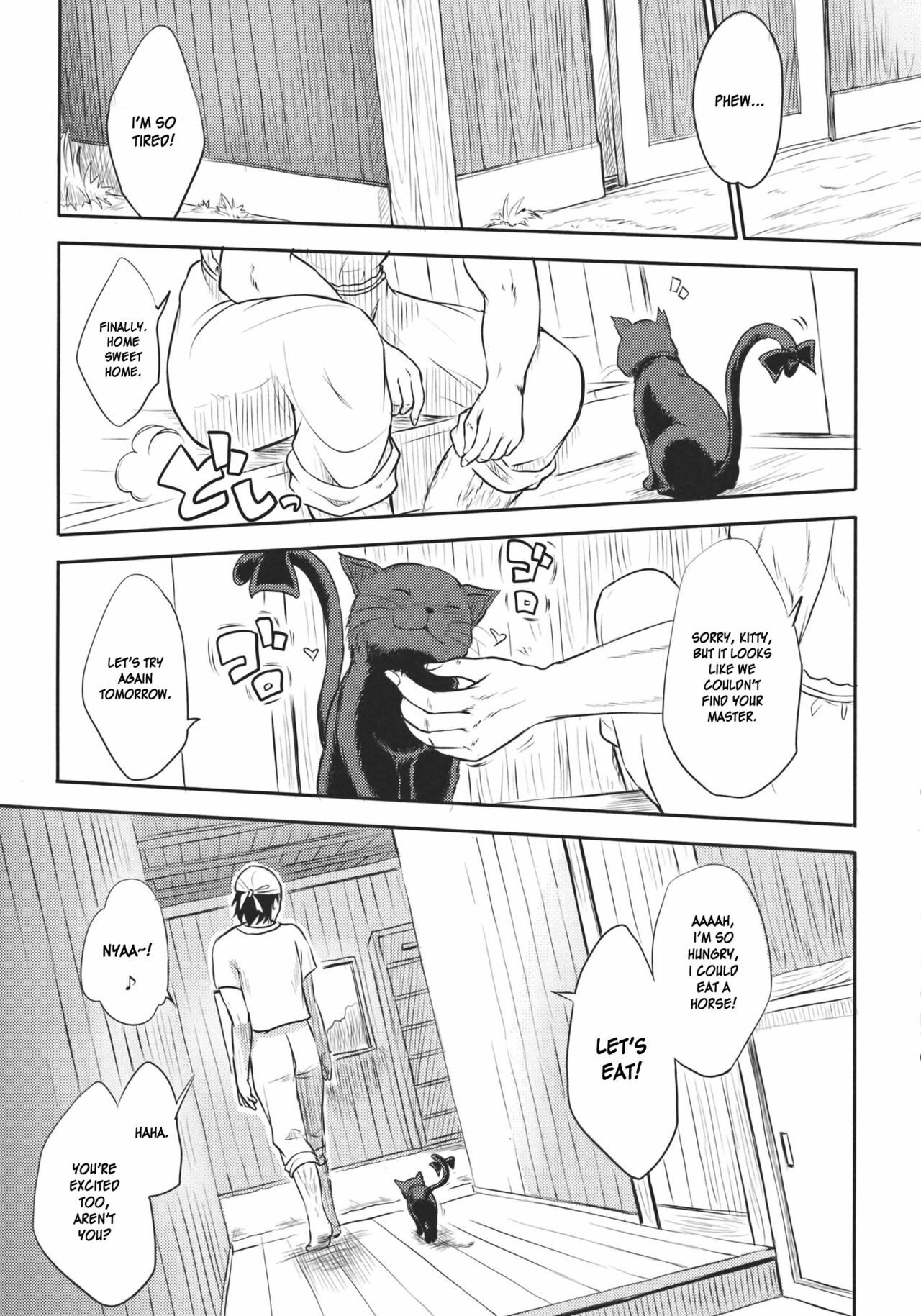 (Reitaisai 8) [Avion Village F (Fechi)] Neko no Kimochi. (Touhou Project) [English] [desudesu] page 9 full