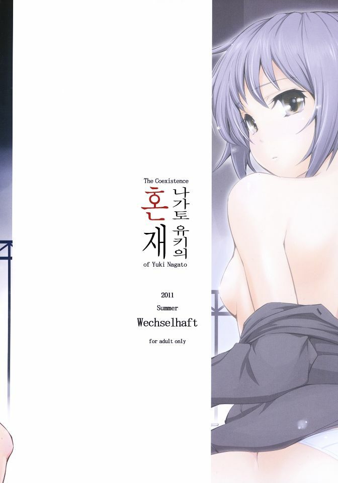 (C80) [Wechselhaft (Kima-gray)] Nagato Yuki no Konzai - The Coexistence of Yuki Nagato (Suzumiya Haruhi no Yuuutsu) [Korean] [Project H] page 22 full