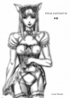 (C70) [Doku Sasori (Takeuchi Leona)] Honnou | Instinct (Final Fantasy XI) - page 3
