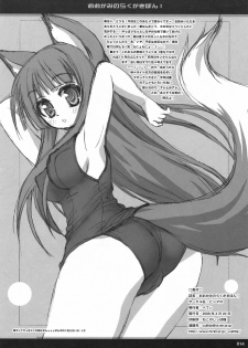 (SC39) [BINMALO (Beti)] Ookami no Rakugakibon! (Spice and Wolf) - page 13