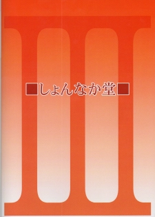(C81) [Shonnaka-dou (Mitsurugi Tsurugi)] III Ane ga Suki Demo ii Janai (Mahou Shoujo Lyrical Nanoha) - page 23
