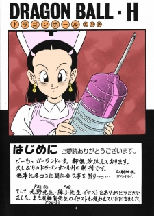 (C71) [Rehabilitation (Garland)] DragonBall H Maki San (Dragon Ball Z) [English] [hyarugu] [Colorized] - page 2