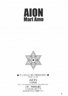 (C65) [Aion (Amou Mari)] Random Ni Saku Nobe No Hana Ni | The Random Blooming of Flowers in the Field (Full Metal Alchemist) [English] [HMedia] - page 29