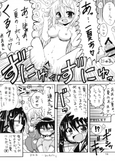 [Tsuchineko (Hayama, Kamihara Mizuki)] Shiyo! (Infinite Stratos) - page 13