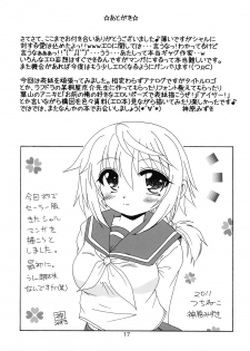 [Tsuchineko (Hayama, Kamihara Mizuki)] Shiyo! (Infinite Stratos) - page 16