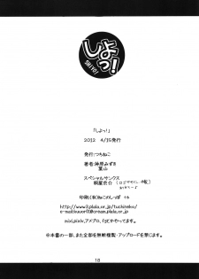 [Tsuchineko (Hayama, Kamihara Mizuki)] Shiyo! (Infinite Stratos) - page 17