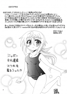 [Tsuchineko (Hayama, Kamihara Mizuki)] Shiyo! (Infinite Stratos) - page 3