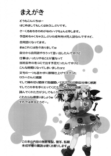 (C80) [Achiki no Megane, Juuryoku Dou (Hamatyonn, Lockheart)] Nitomari Chu-! ADULT (Touhou Project) - page 3