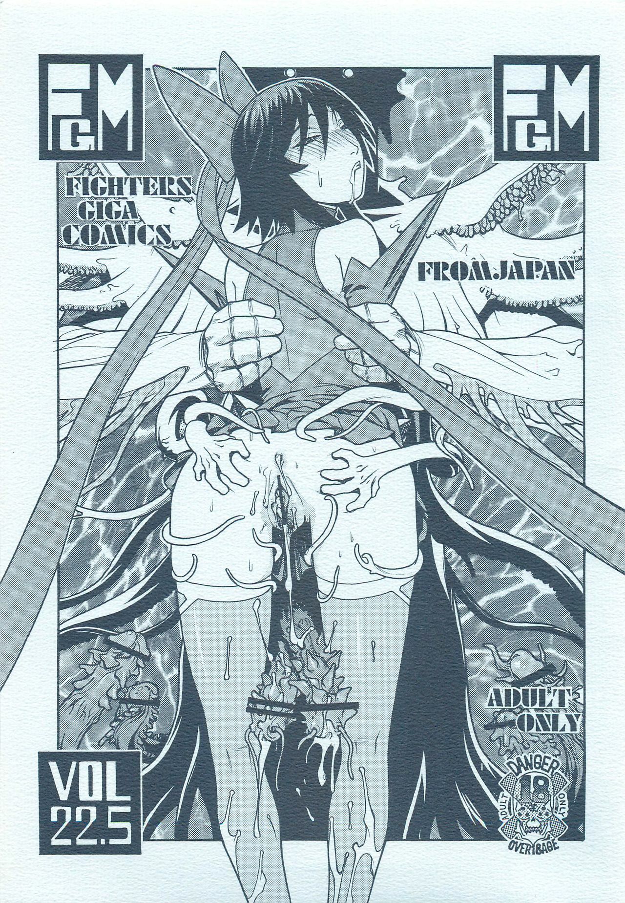 (C66) [From Japan (Aki Kyouma)] FIGHTERS GIGAMIX FGM Vol. 22.5 (Mahou Shoujo Ai, Silent Hill) page 1 full