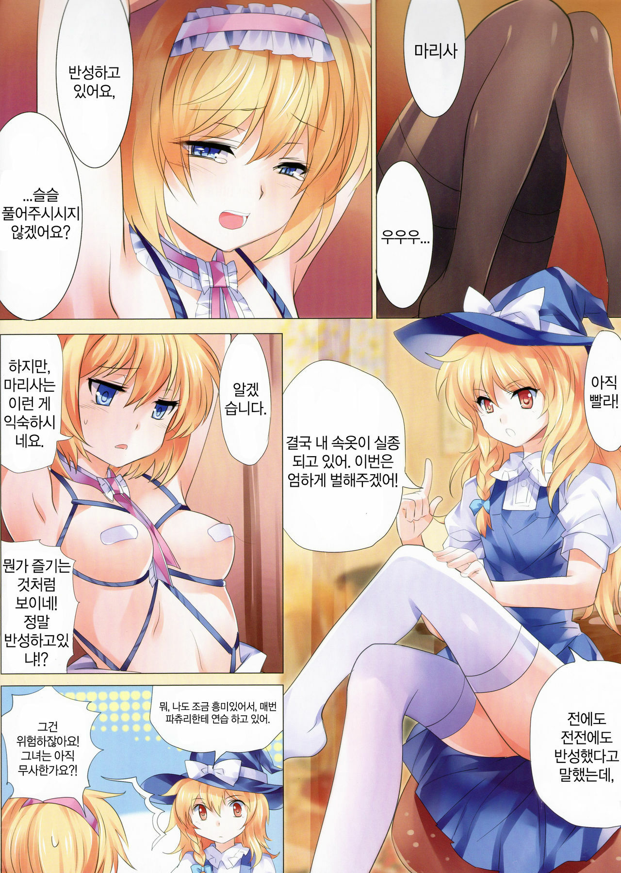 (C81) [Kyounetsuzanbun (PICO, Paintmusume)] Touhou Kinbakuroku (Touhou Project) [Korean] [Re:A] page 13 full