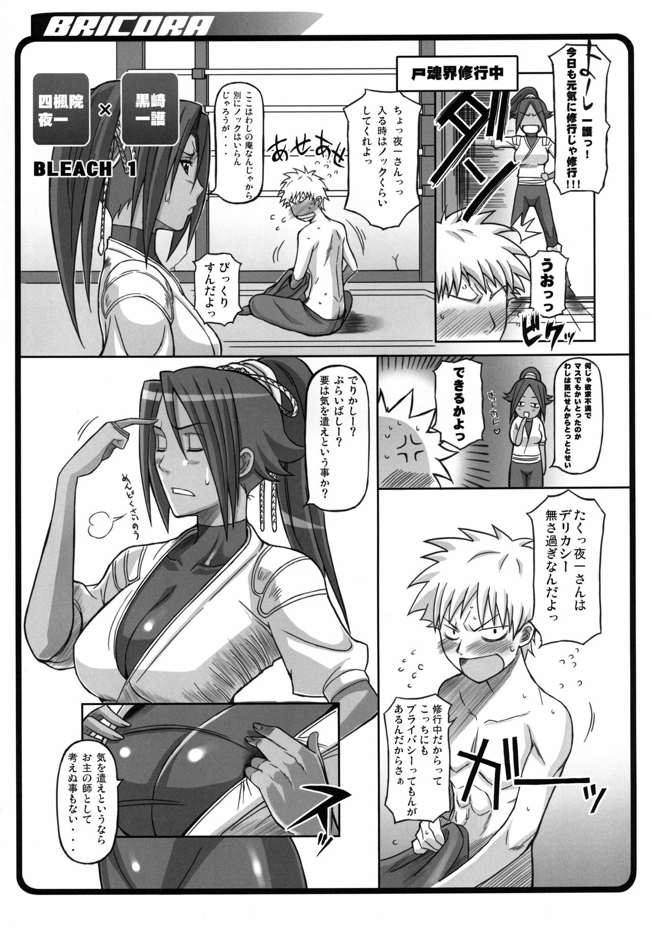 [Diogenes Club (Haikawa Hemlen)] BRICOLA Soushuuhen (Bleach) [Digital] page 4 full