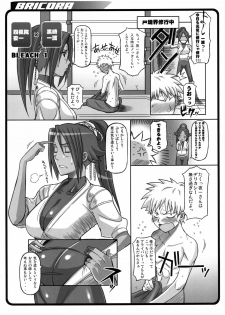 [Diogenes Club (Haikawa Hemlen)] BRICOLA Soushuuhen (Bleach) [Digital] - page 4