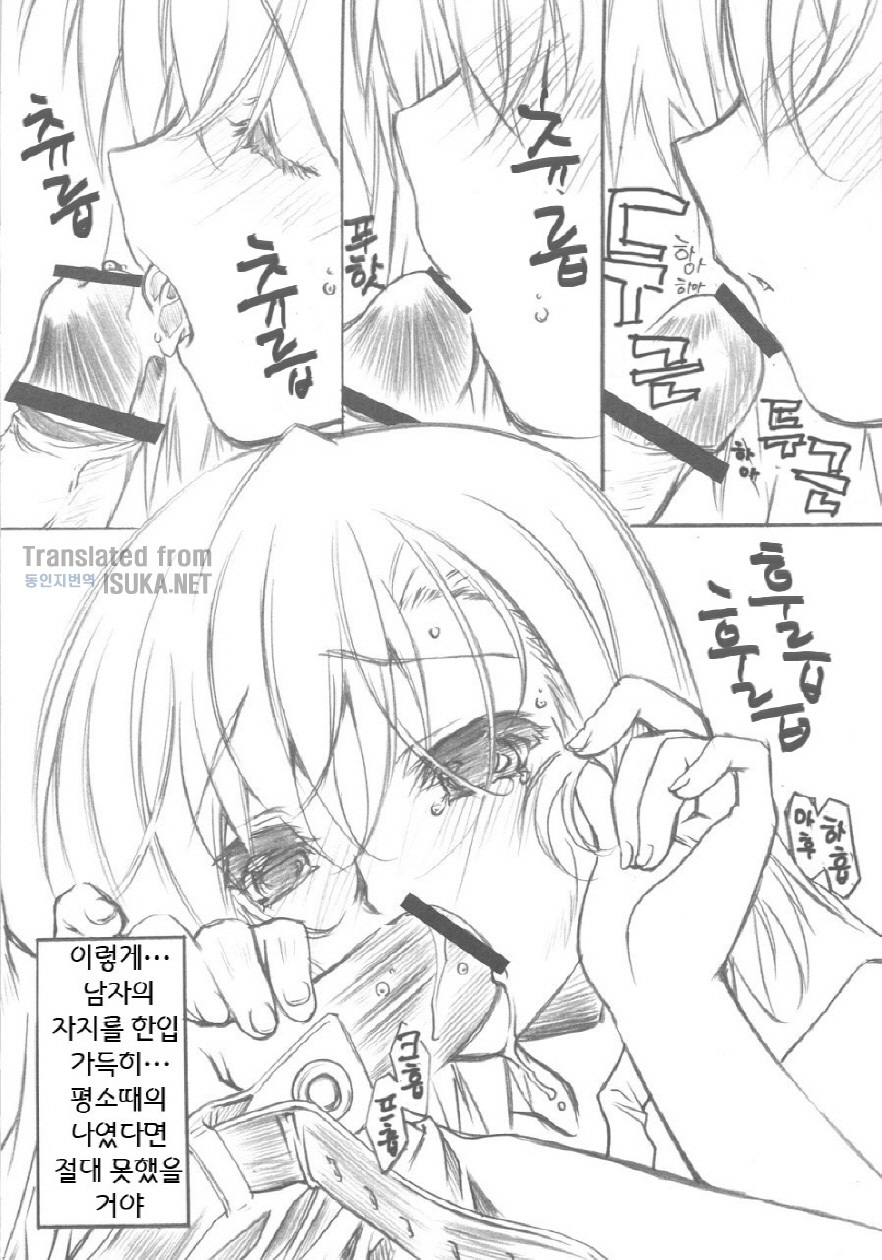 (COMIC1☆4) [Million Bank (Senomoto Hisashi)] BEGINNING AND THE END (To Aru Kagaku no Railgun) (korean) page 12 full