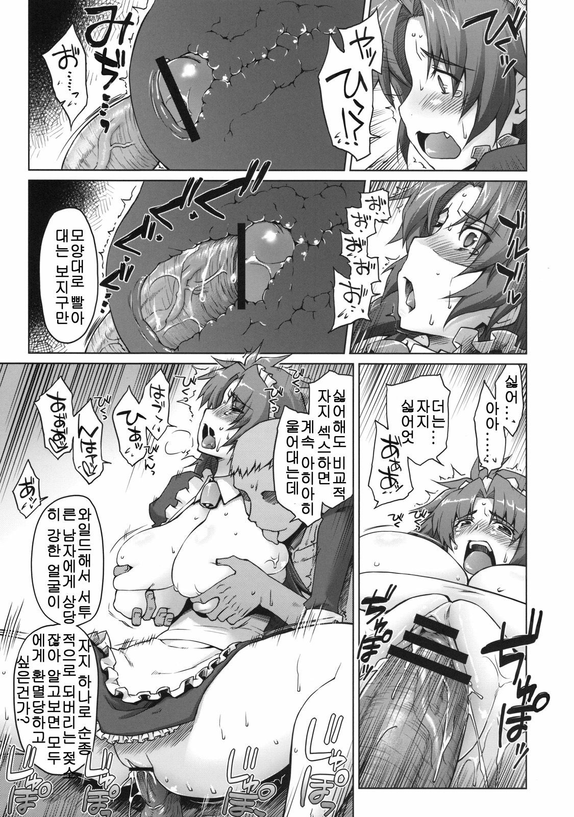 (C78) [Sago-jou (Seura Isago)] Meushi Gizoku ～Risty Rin After～ (Queen's Blade) [Korean] page 20 full